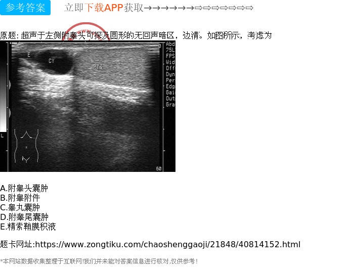 附睾头囊肿 b.附睾附件 c.睾丸囊肿 d.附睾尾囊肿 e.精索鞘膜积液