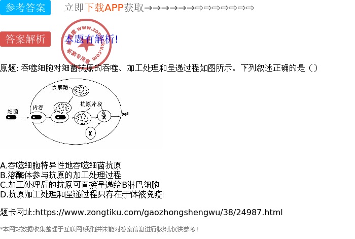 吞噬细胞对细菌抗原的吞噬,加工处理和呈递过程如图所示.