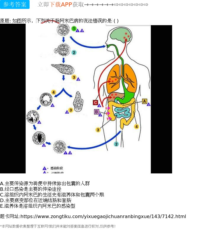 主要病变部位在近端结肠和盲肠 e.滋养体是溶组织内阿米巴的感染型