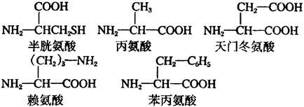 赖氨酸结构式图片