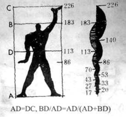 勒柯布西耶提出的著名的 人体模数图 中包含有两种比例关系 一种是黄金分割 另一种是 一级注册建筑师题库总题库